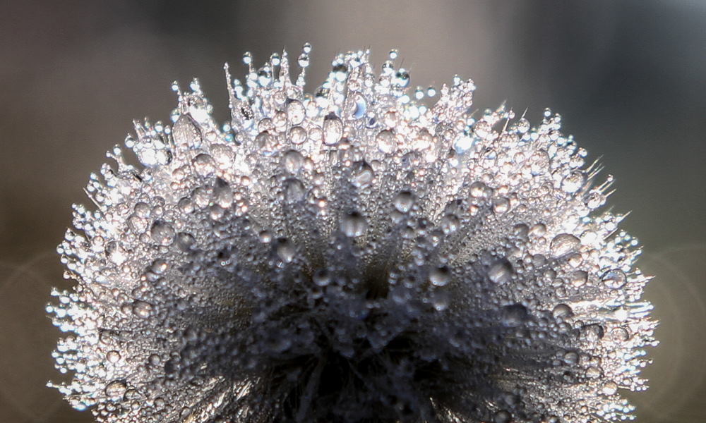 10. Platz Günter Bollenbacher